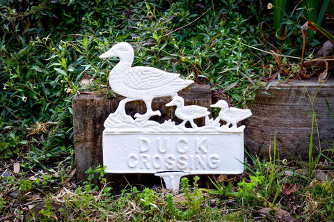 Ghost Hill Road Retreat - Accommodation Mooloolaba 23