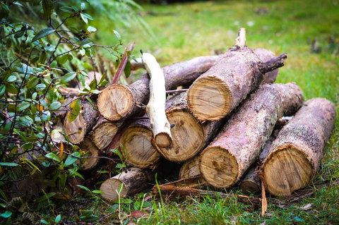 Ghost Hill Road Retreat - Accommodation Mooloolaba 19