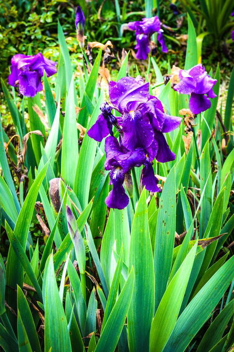 Ghost Hill Road Retreat - Accommodation Mooloolaba 22