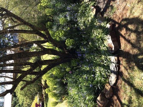 Kit Kat Cottage - Heritage Accommodation Burra - Accommodation Mooloolaba 3