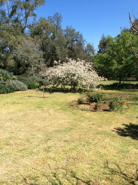 Kit Kat Cottage - Heritage Accommodation Burra - Accommodation Mooloolaba 5