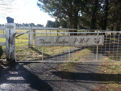 Three Linden - Accommodation Mooloolaba 6