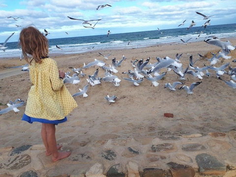 Moana Beach Tourist Park - Accommodation Mooloolaba 9