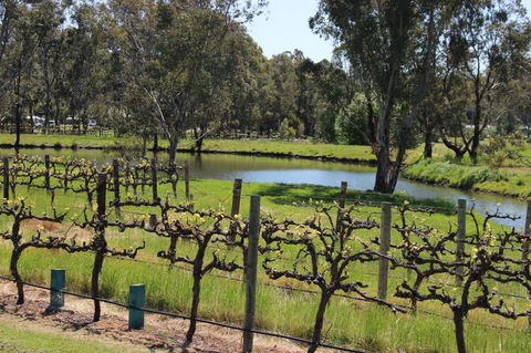 OXENBERRY FARM - Accommodation Mooloolaba 19