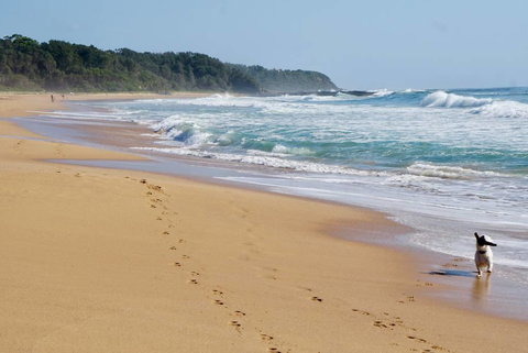 Culburra Beachhouse - Accommodation Mooloolaba 7