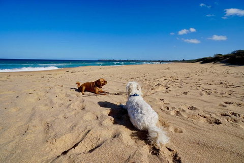 Culburra Beachhouse - Accommodation Mooloolaba 8