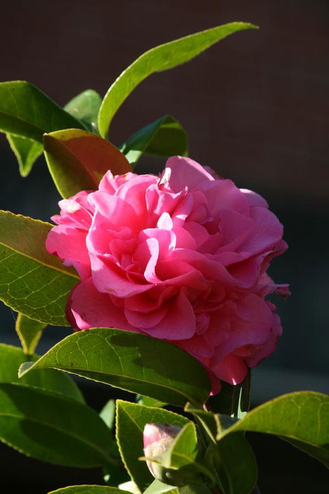 Pirralilla Estate Adelaide Hills - Accommodation Mooloolaba 23