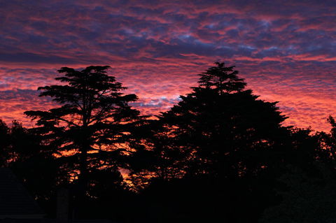 Pirralilla Estate Adelaide Hills - Accommodation Mooloolaba 26