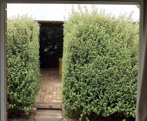 A2@Port Willy - Accommodation Mooloolaba 13