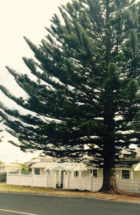 Railway Cottage In Beachport - Accommodation Mooloolaba 13