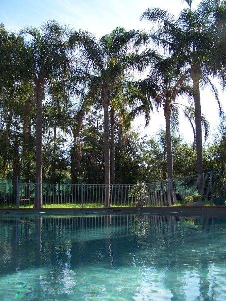 Abcot Inn - Accommodation Mooloolaba 21