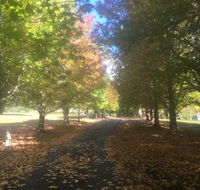 A peaceful cabin in the country - Accommodation Mooloolaba