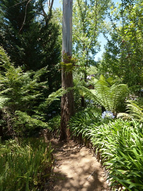 Aldgate Creek Cottage Bed And Breakfast - Accommodation Mooloolaba 27