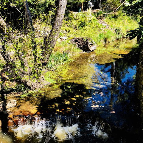 Aldgate Creek Cottage Bed And Breakfast - Accommodation Mooloolaba 22