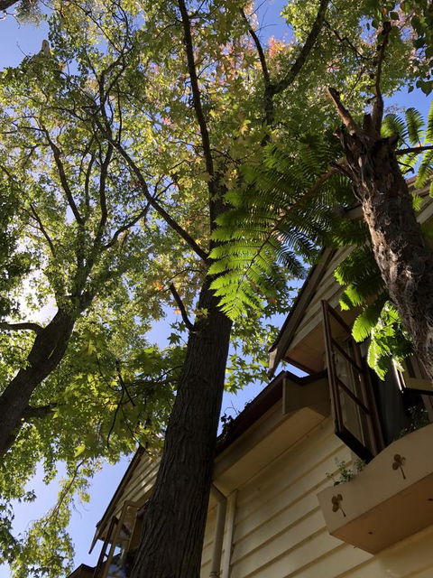 Aldgate Creek Cottage Bed And Breakfast - Accommodation Mooloolaba 8