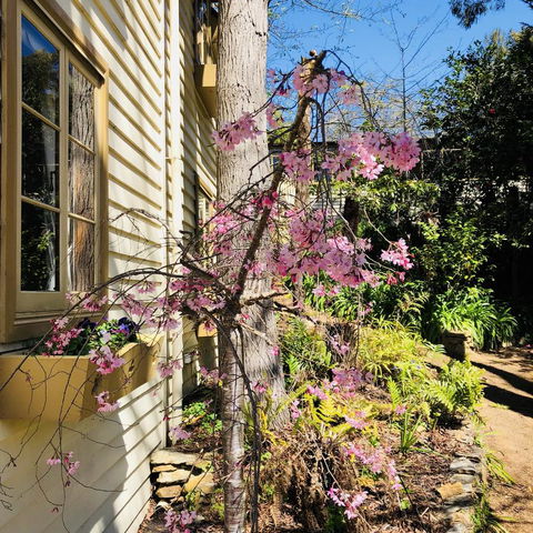 Aldgate Creek Cottage Bed And Breakfast - Accommodation Mooloolaba 19