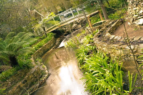 Aldgate Creek Cottage Bed And Breakfast - Accommodation Mooloolaba 17