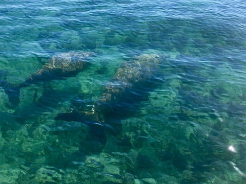 Escape 2 Exmouth - Accommodation Mooloolaba 28