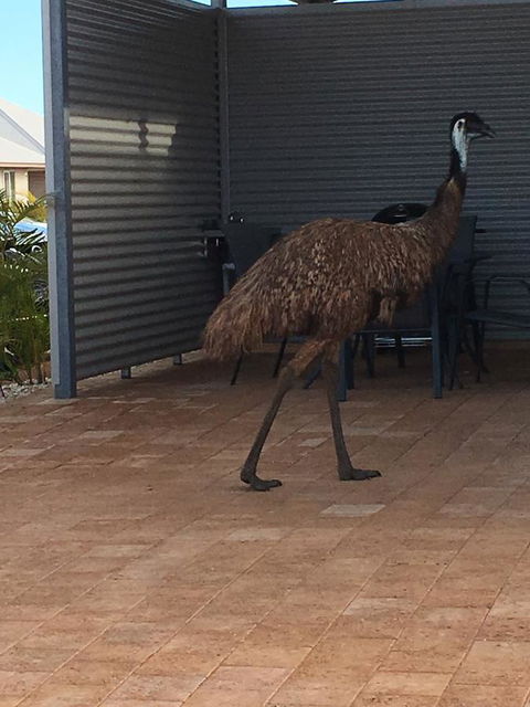 Escape 2 Exmouth - Accommodation Mooloolaba 15