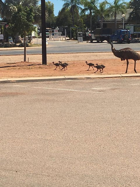 Escape 2 Exmouth - Accommodation Mooloolaba 29