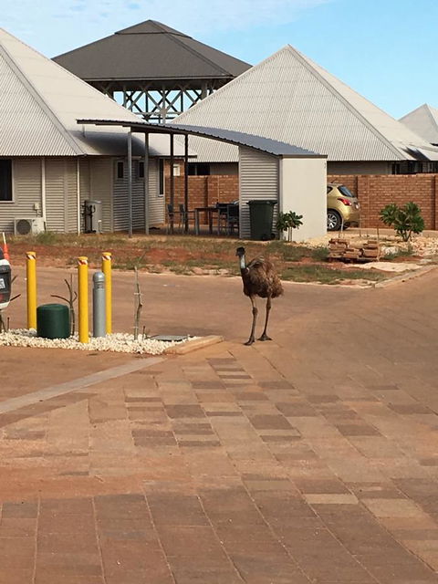 Escape 2 Exmouth - Accommodation Mooloolaba 16