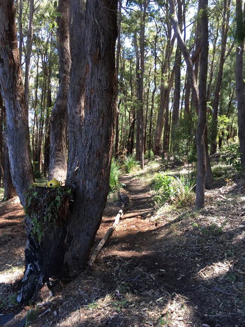 Blue House Denmark - Accommodation Mooloolaba 6