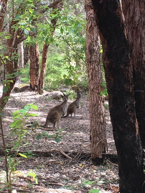 Blue House Denmark - Accommodation Mooloolaba 7