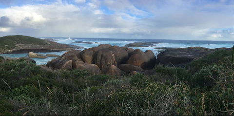 Blue House Denmark - Accommodation Mooloolaba 4