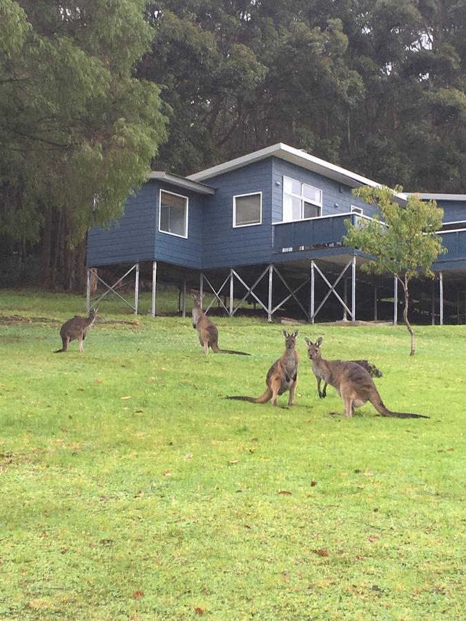 Accommodation Mooloolaba