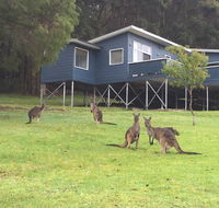 Blue House Denmark - Accommodation Mooloolaba
