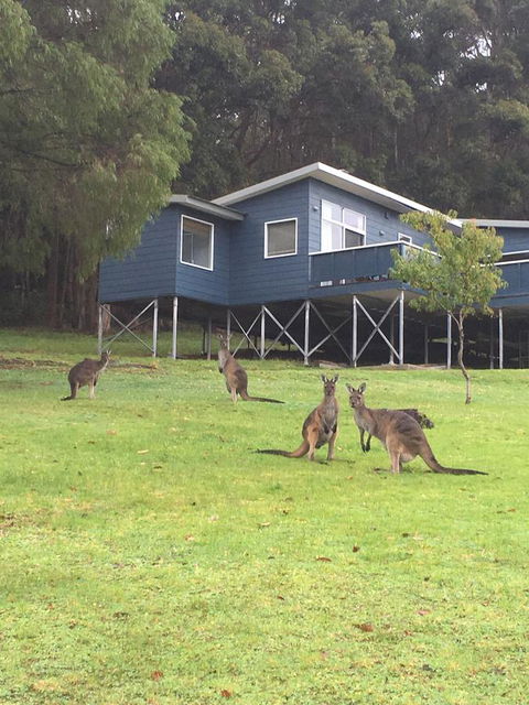 Blue House Denmark - Accommodation Mooloolaba 0