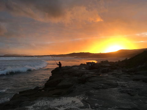 Blue House Denmark - Accommodation Mooloolaba 16