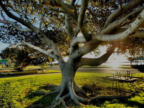 Lazy Lobster Holiday Units & Chalets - Accommodation Mooloolaba 34