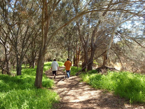 Lazy Lobster Holiday Units & Chalets - Accommodation Mooloolaba 26