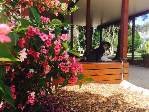 Armidale Tourist Park - Accommodation Mooloolaba 34