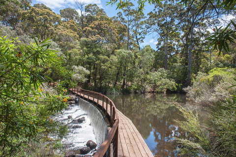 Villa On Fearn - Accommodation Mooloolaba 19