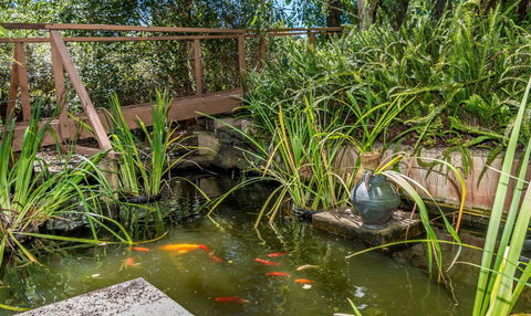 Chimes Spa Retreat - Accommodation Mooloolaba 27