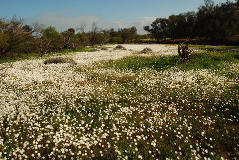 Kalbarri Seafront Villas - Accommodation Mooloolaba 35