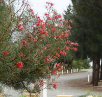 The Heights Bed  Breakfast - Accommodation Mooloolaba