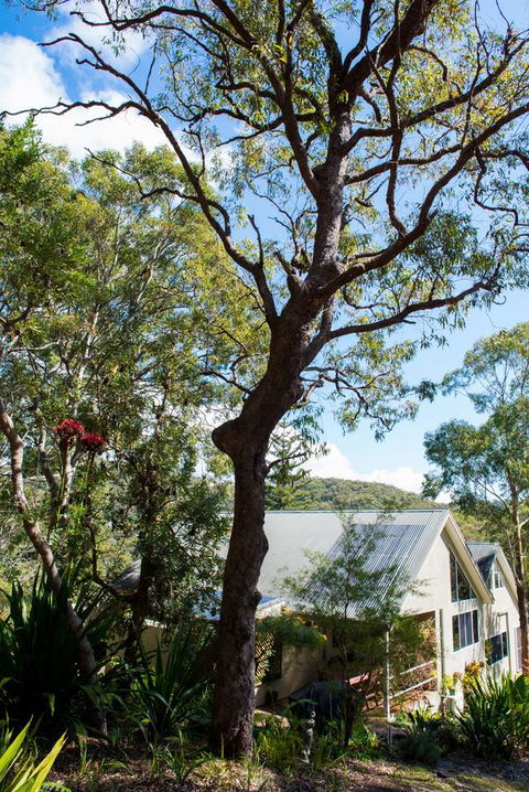 Nelson Bay Bed & Breakfast - Accommodation Mooloolaba 42