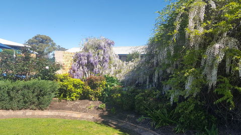 Almond Inn - Accommodation Mooloolaba 28