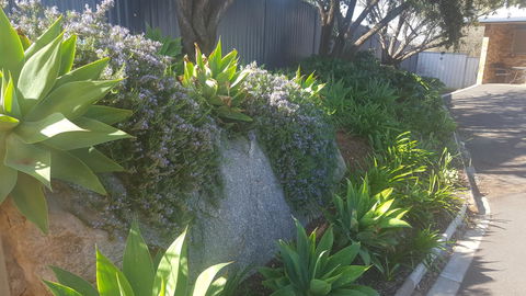 Almond Inn - Accommodation Mooloolaba 27