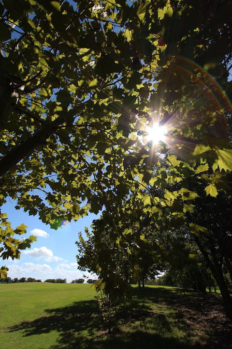 Crowne Plaza Hawkesbury Valley, An IHG Hotel - Accommodation Mooloolaba 43