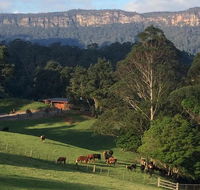 Amaroo Valley Springs - Accommodation Mooloolaba