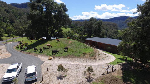 Amaroo Valley Springs - Accommodation Mooloolaba 19