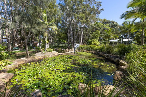 Flynns Beach Resort - Accommodation Mooloolaba 8