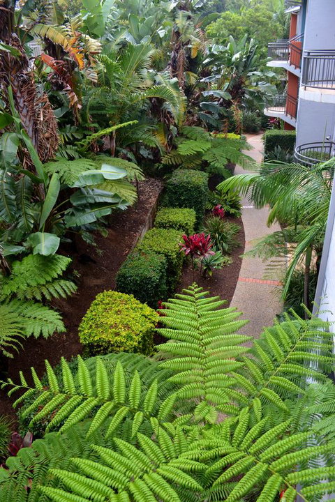 Flynns Beach Resort - Accommodation Mooloolaba 17