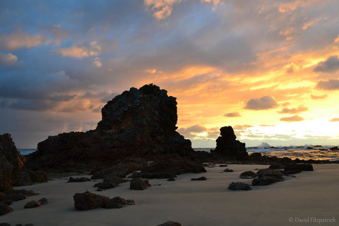 Flynns Beach Resort - Accommodation Mooloolaba 19