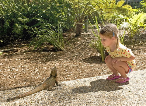 Flynns Beach Resort - Accommodation Mooloolaba 16