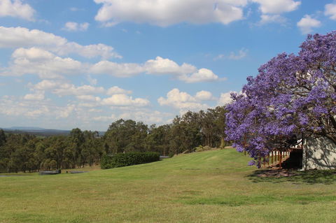 Wine Country Villas - Accommodation Mooloolaba 34